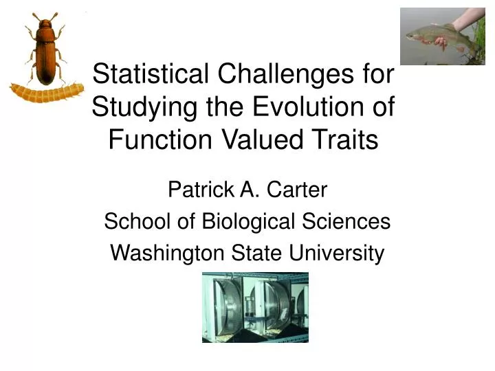 statistical challenges for studying the evolution of function valued traits
