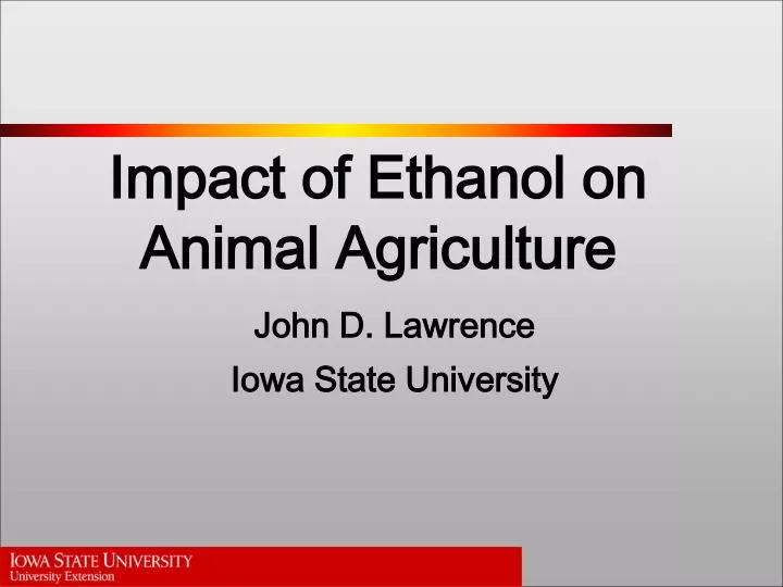 impact of ethanol on animal agriculture