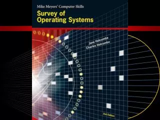 Disk Operating System (DOS)