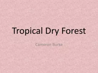 Tropical Dry Forest