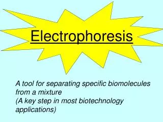 Electrophoresis