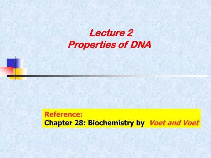 lecture 2 properties of dna