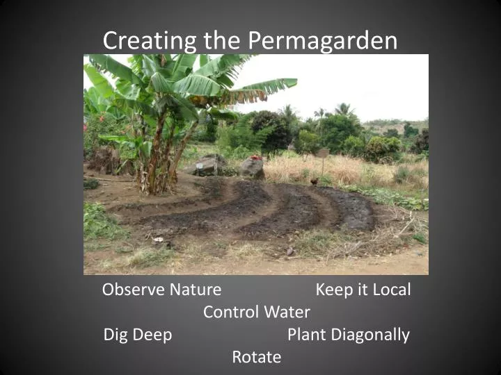 creating the permagarden