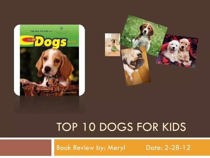 top 10 dogs for kids