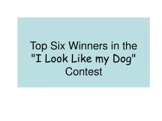 Top Six Winners in the &quot;I Look Like my Dog&quot; Contest