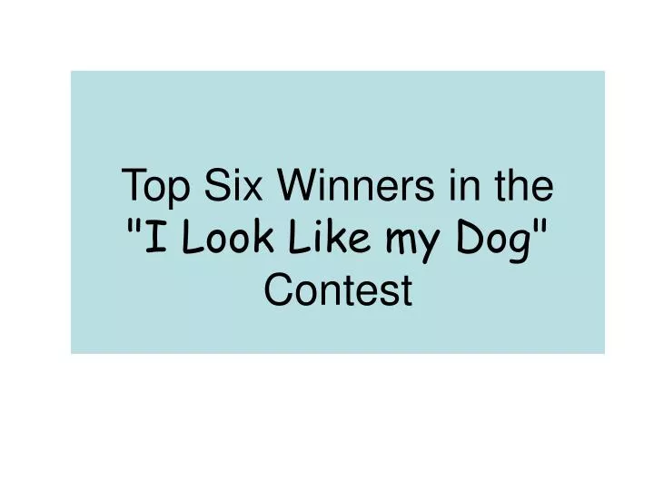 top six winners in the i look like my dog contest