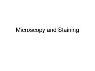 Microscopy and Staining
