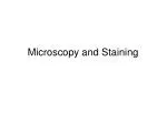 Microscopy and Staining - slide 1