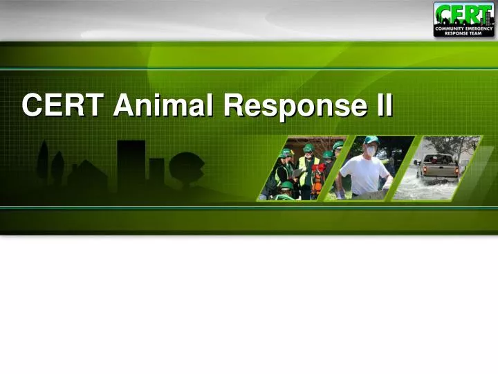 cert animal response ii