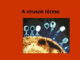 a v rusok t rzse