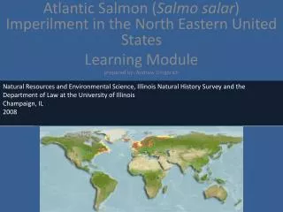 Atlantic Salmon ( Salmo salar) imperilment in North Eastern United States