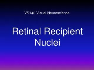 VS142 Visual Neuroscience