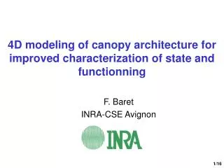 4D modeling of canopy architecture for improved characterization of state and functionning