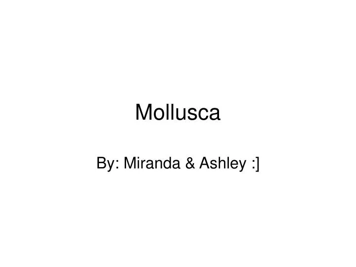 mollusca