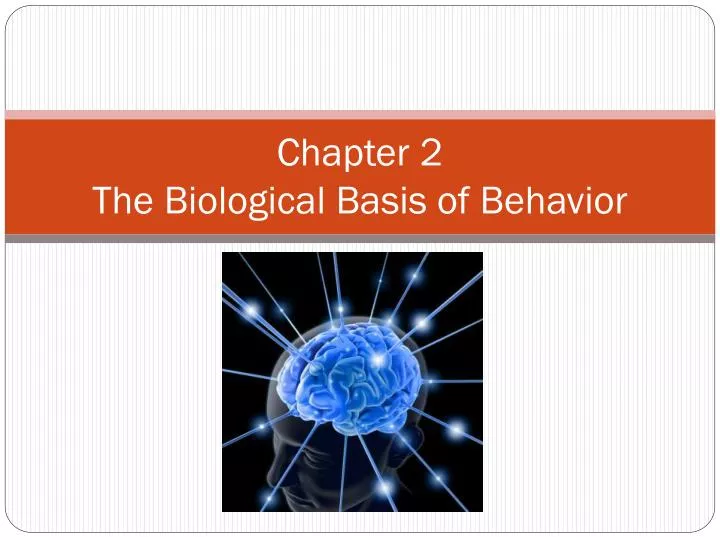 chapter 2 the biological basis of behavior