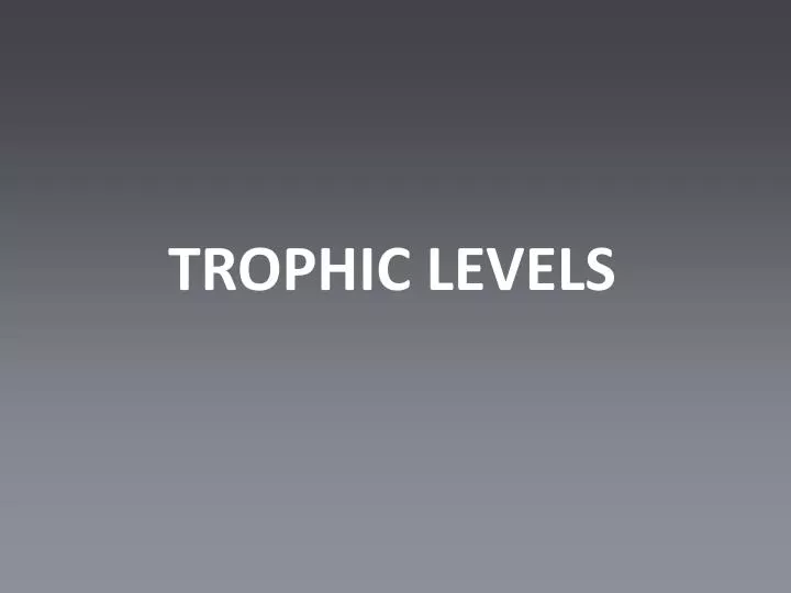 trophic levels