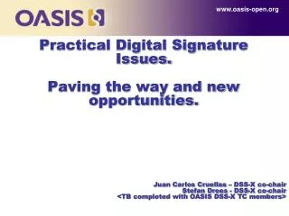 Practical Digital Signature Issues. Paving the way and new opportunities.