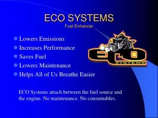 ECO SYSTEMS Fuel Enhancer