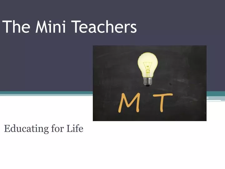 the mini teachers