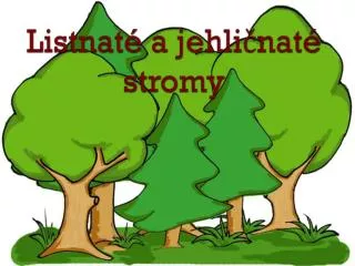 listnat a jehli nat stromy