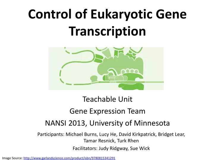 control of eukaryotic gene transcription