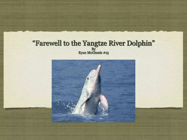 farewell to the yangtze river dolphin by ryan mcginnis 15