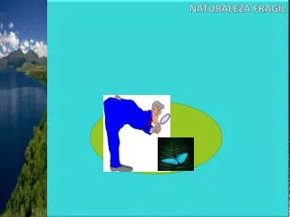 naturaleza fragil