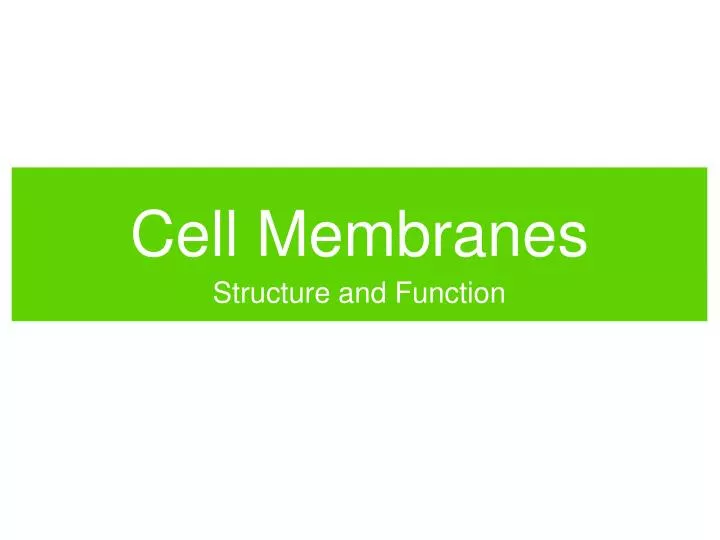 cell membranes