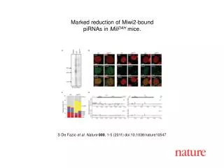 S De Fazio et al . Nature 000 , 1 - 5 (2011) doi:10.1038/nature10547