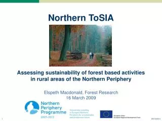 ToSIA approach to Sustainability Impact Assessment of Forest-Wood Chains