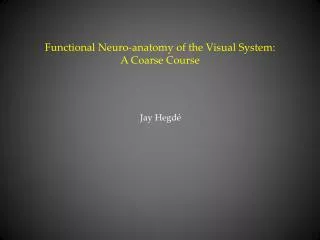 Functional Neuro-anatomy of the Visual System: A Coarse Course