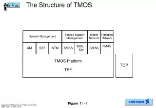 The Structure of TMOS
