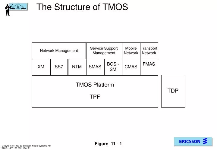the structure of tmos