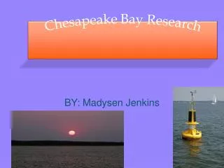 Chesapeake Bay Research