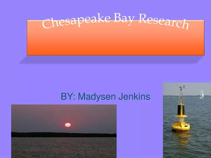 chesapeake bay research