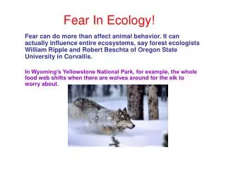 Fear In Ecology!