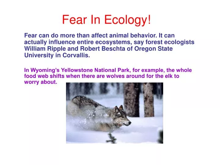 fear in ecology