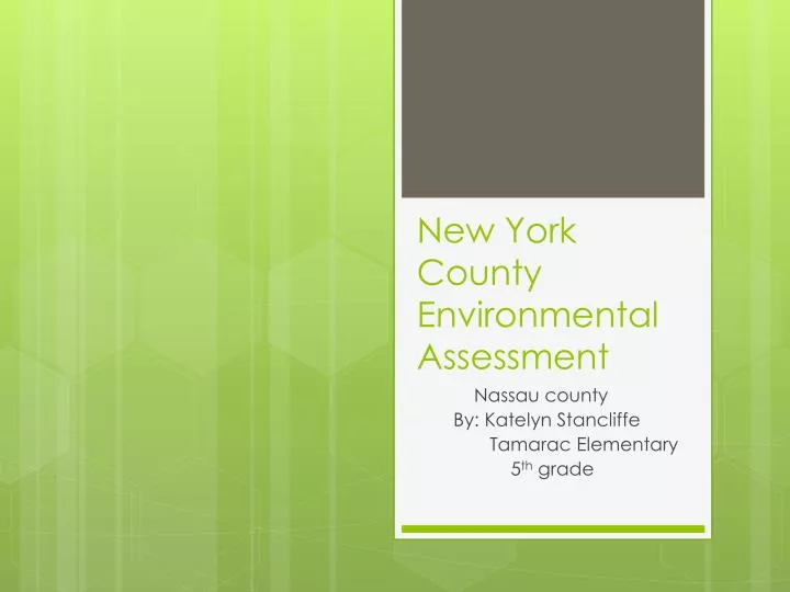 new york county environmental assessment