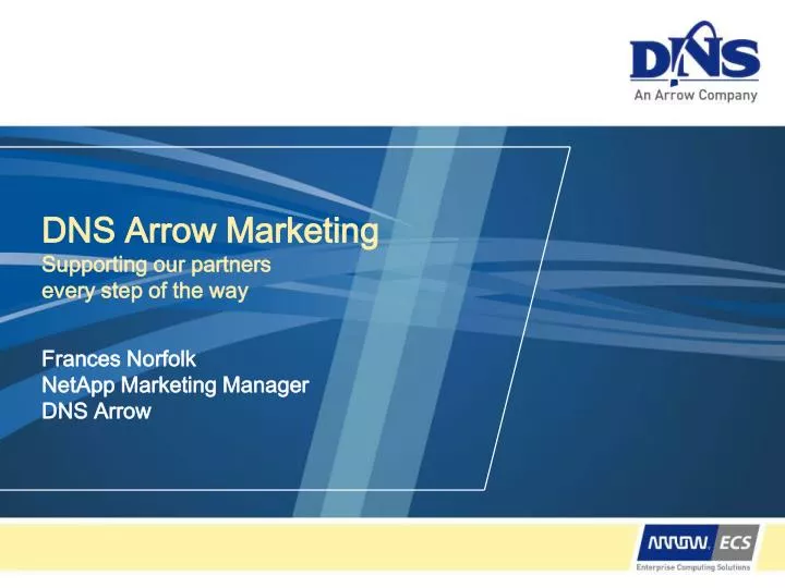 dns arrow marketing supporting our partners every step of the way