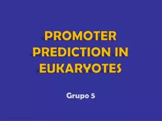 promoter prediction in eukaryotes