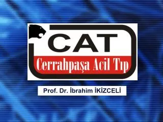 prof dr brahim k zcel