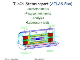 Detector status Pisa commitments Analysis Laboratory tests