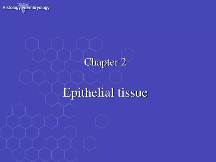 chapter 2 epithelial tissue