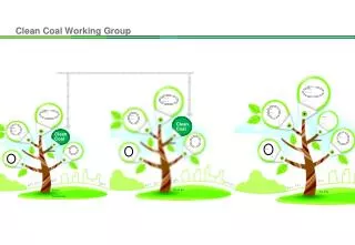 clean coal working group