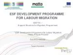 Development Programme for Labour Migration in Finland: Objectives and Challenges - slide 1