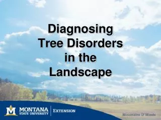 Diagnosing Tree Disorders in the Landscape