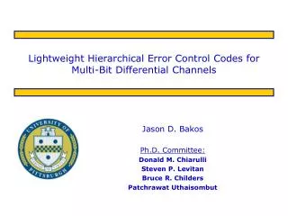 Lightweight Hierarchical Error Control Codes for Multi-Bit Differential Channels