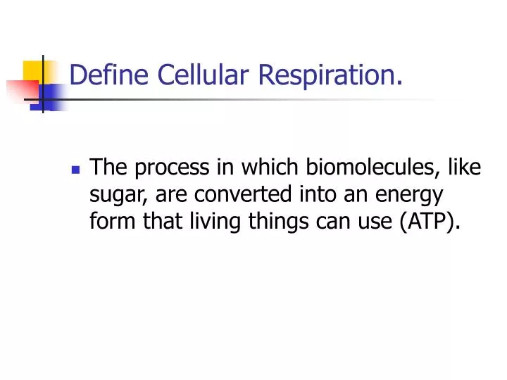 define cellular respiration