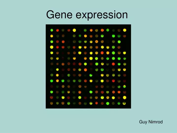 Ppt Gene Expression Powerpoint Presentation Free Download Id 5626586