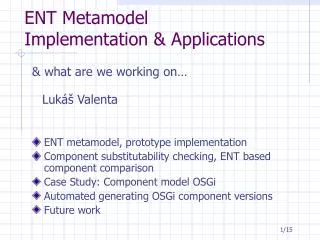 ENT Metamodel Implementation &amp; Applications